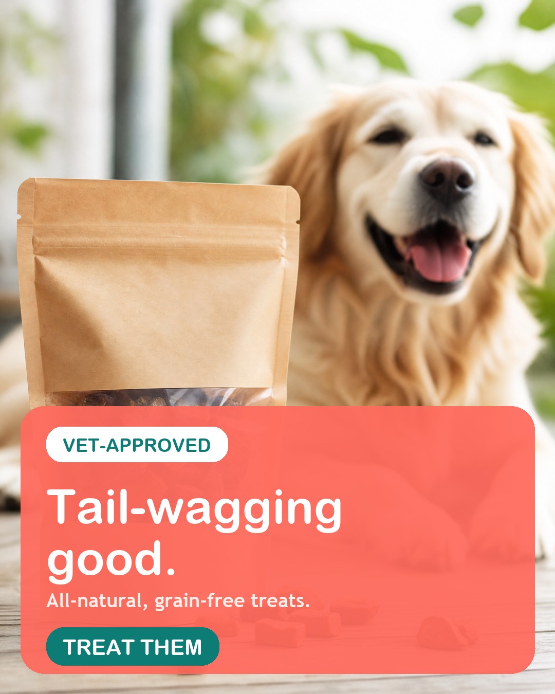 Pet ad creative